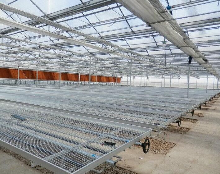 <a href='/' target='_blank'>育苗網(wǎng)廠家</a>