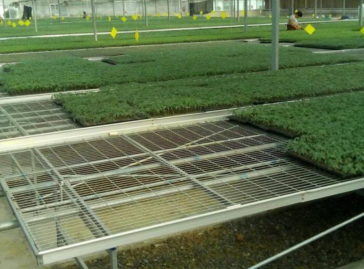 1564975161522814.jpg <a href='http://m.opccn.com/miaochuangsheshi/199.html'target='_blank'><a href='http://m.opccn.com/miaochuangsheshi/199.html'target='_blank'><a href='http://m.opccn.com/miaochuangsheshi/199.html'target='_blank'>育苗床</a></a></a>.jpg