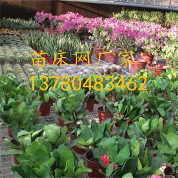 <a href='/' target='_blank'><a href='/' target='_blank'>溫室苗床</a>網</a>