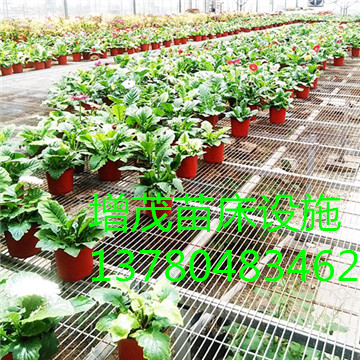 移動<a href='/' target='_blank'>苗圃網</a>